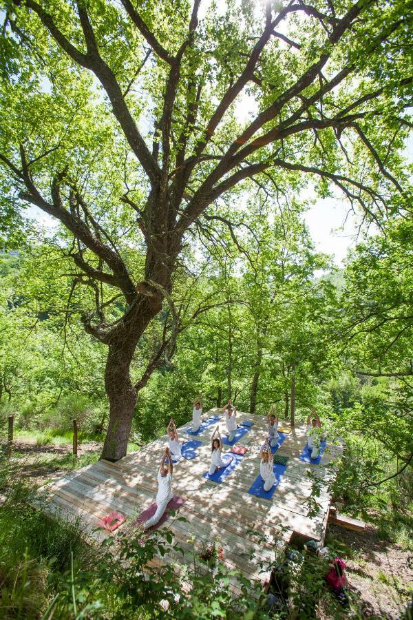 Italyfarmstay Pescosolido エクステリア 写真